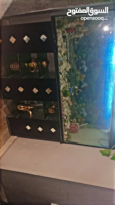 حوض سمك ارتفاع 60 عرض 136  للبيع 120دينار وقابل للتفاوض بشيء بسيط.