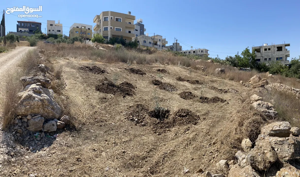 قطعة ارض للبيع في بلدة صرة