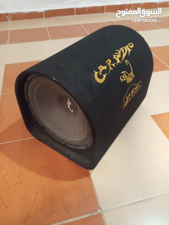 بزوقا العقرب اصفر