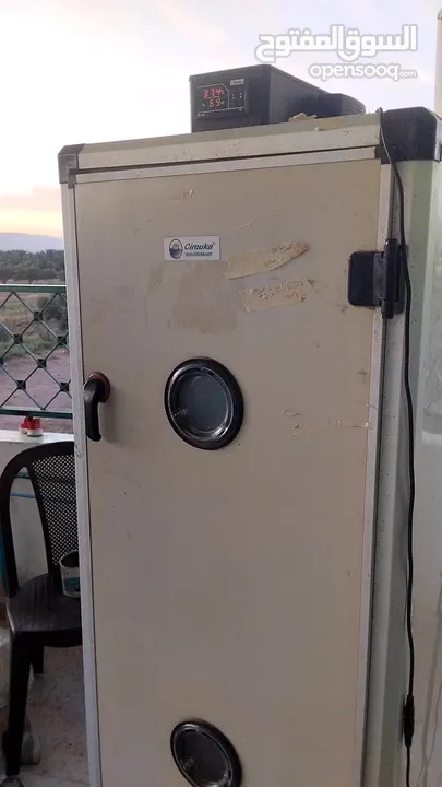 فقاسة جيموكا التركية ...