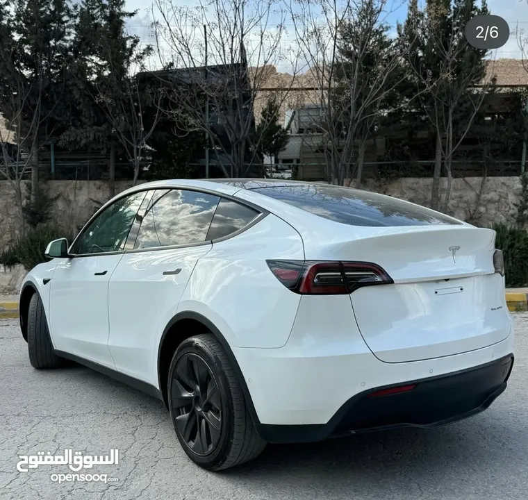 Model y 2021
