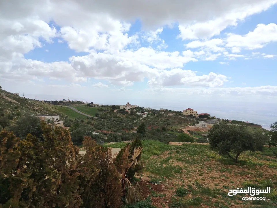 2300 م السلط المغاريب قطعة ملوكية تصلح ل فيلا او مزرعة اطلالة ع الغرب و جبال فلسطين
