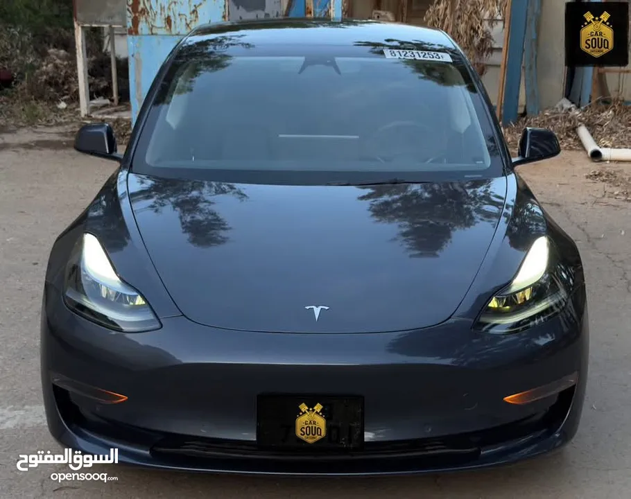 Tesla Model 3 Standard Plus 2022