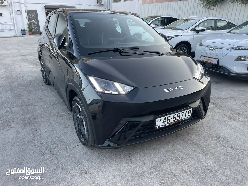 بي واي دي سيجول موديل 2023  كاش او اقساط