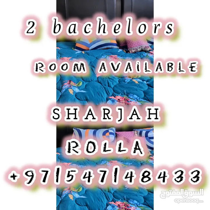 bachelor room Sharjah rolla