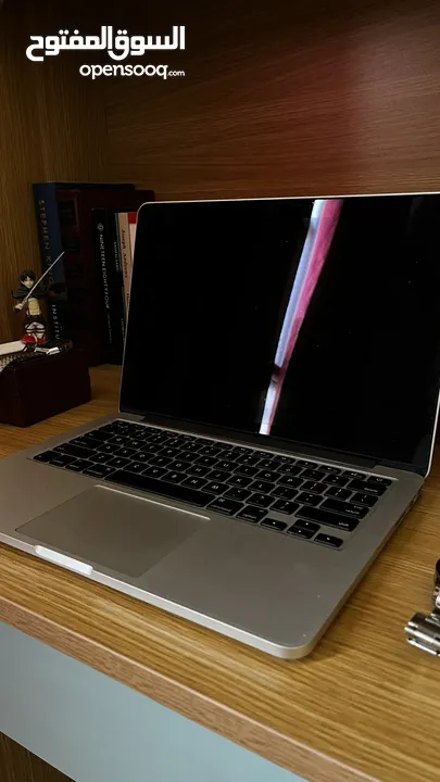 Macbook pro 2013