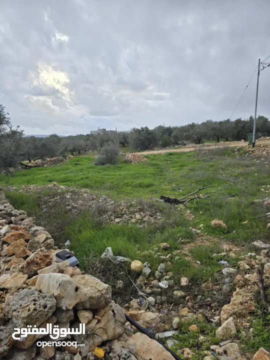 ارض للبيع تبعد عن الخط الرئسي 100 متر ارض ممتازه على شارعين وصلها جميع الخدمات