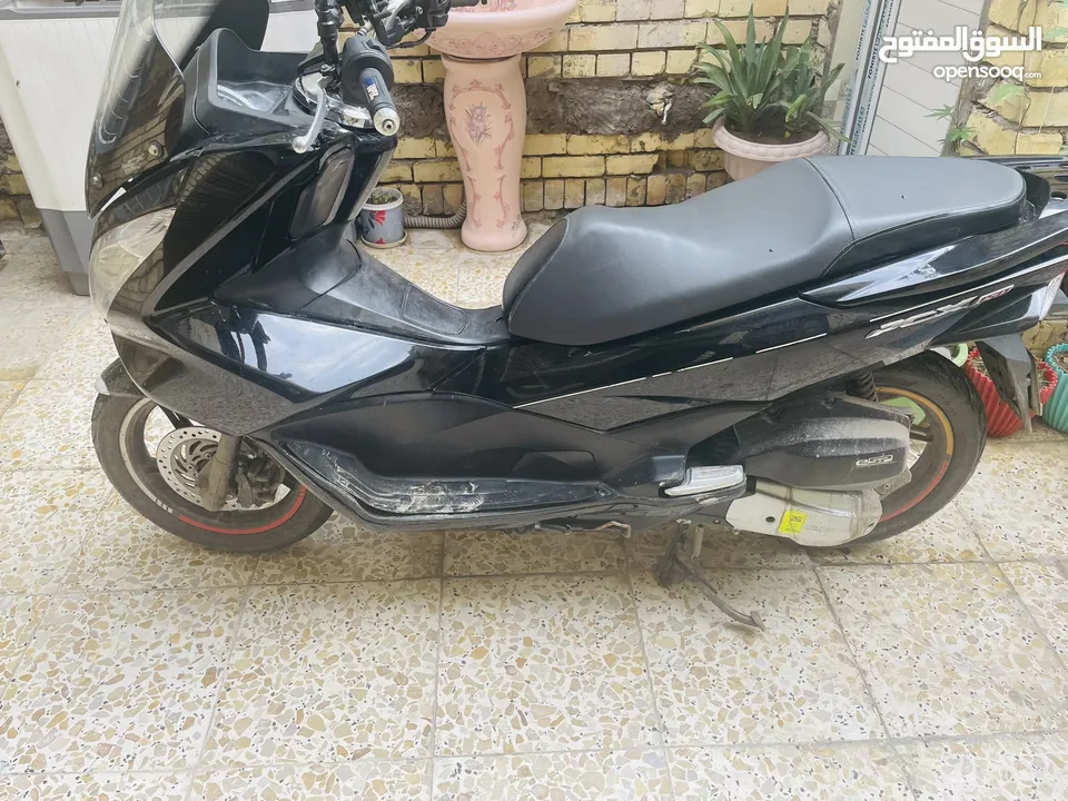 دراجة pcx للبيع