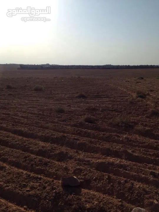 ارض  للزراعه لكل المحاصيل قريبه من آبار المياه
