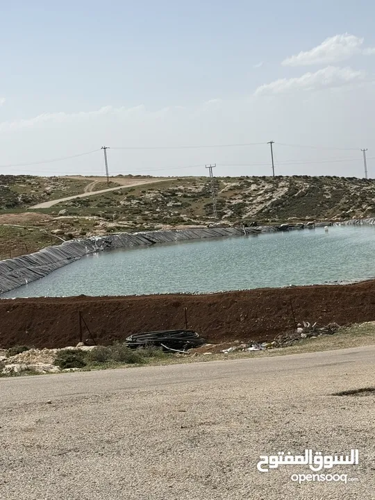 ارض للبيع قرمية حسبان 3100 متر لكامل القطعة قابل للأقساط