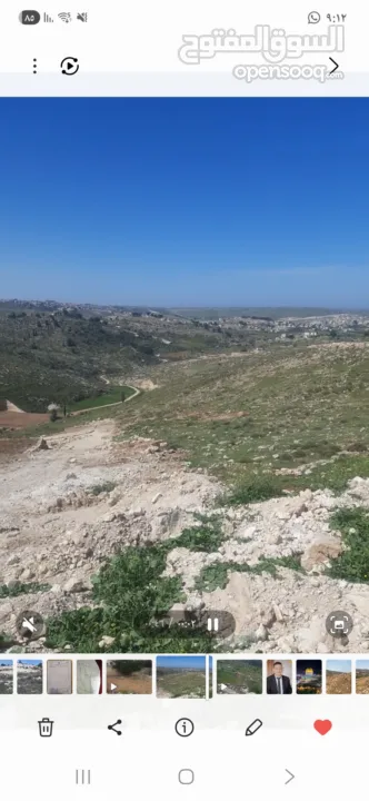 قطعة ارض مميزه للبيع الخليل دورا خلة العقد مساحة الارض 590 متر