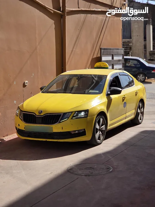 سكودا اوكتافيا  2019