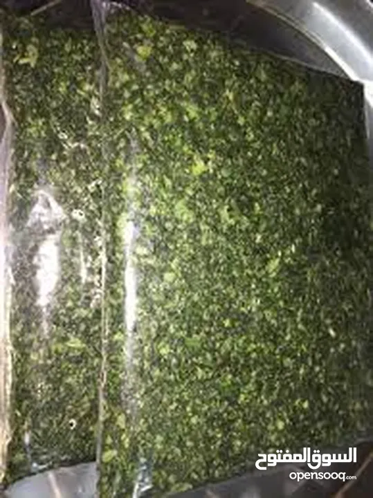 ملوخيه شغل بيت 4كيلو اخضر ب 10د ناشف الكيلو 5  اقل سعر  ملوخيه السنه نخبب  ملوخيه مغسله ونضيفه وجاهز