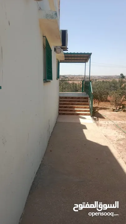 شقق مفروشه للايجار اليومي
