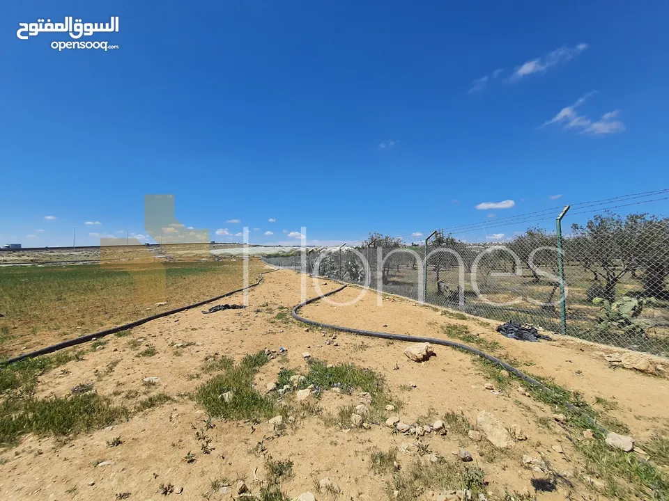 ارض للبيع تصلح للافراز في شارع المية بمساحة ارض 10750م
