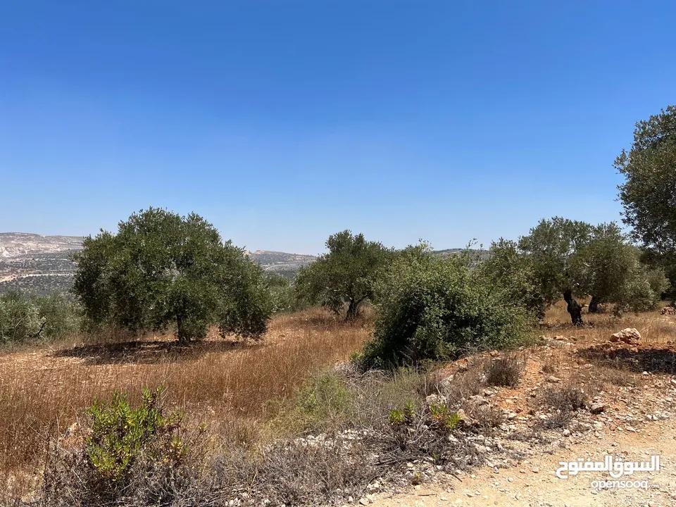 Land for Sale – Marda, Salfit (13.8 Donums)  أرض للبيع – مردة، سلفيت (13.8 دونم)