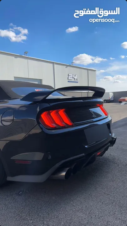 2019 mustang