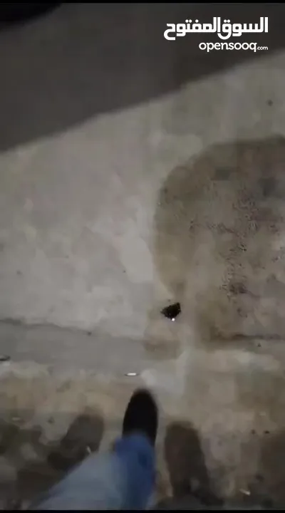 شقة جبل النزهه