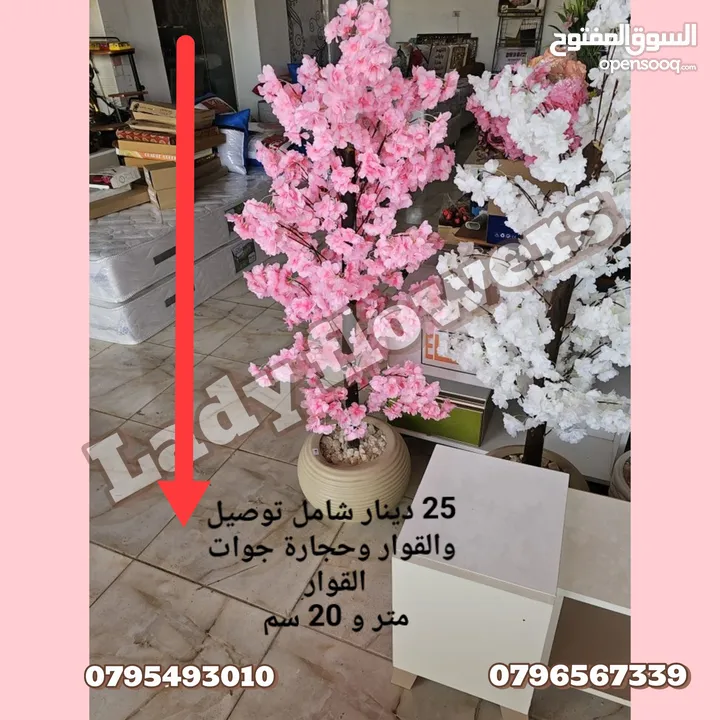 شجر اللوز الصناعي اقرب للطبيعي نيلي ابيض زهر