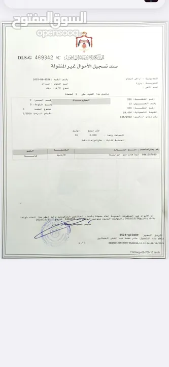 قطعة ارض 10 دونم اراضي ذيبان ارض زراعية مستوية