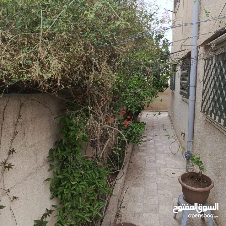 منزل للبيع في الزرقاء جبل طارق