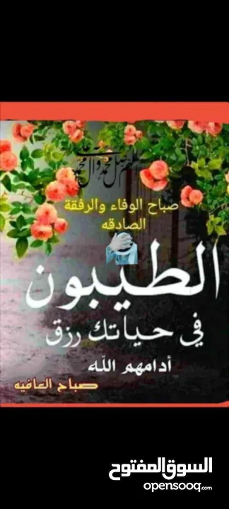 كوشوك بي اف قودريتش عدد 4