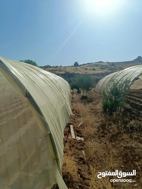 بيت بلاستيك