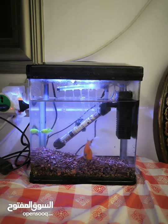 Aquarium set for sale