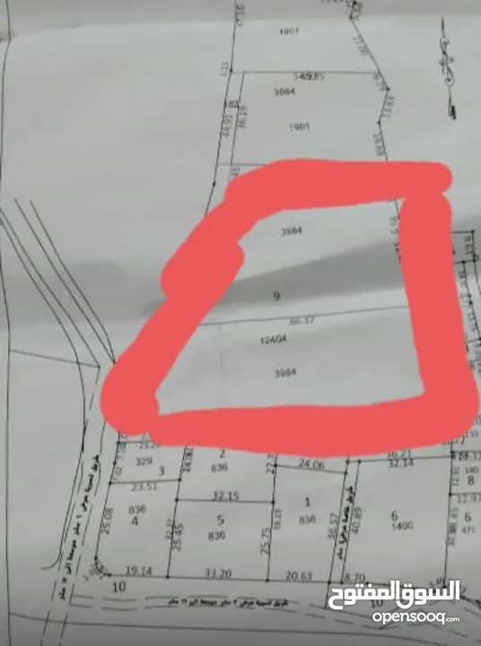 ارض تصلح للتنمير وفيها مربح ممتاز