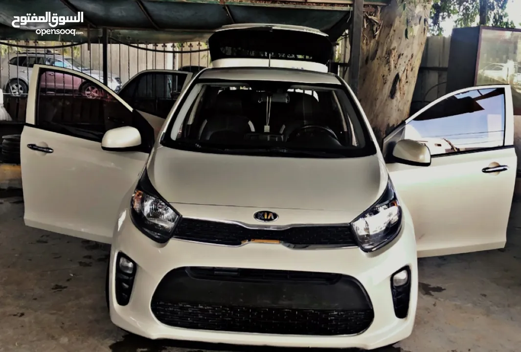 مورننج 2019