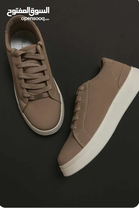 البيع بالجملة فقط