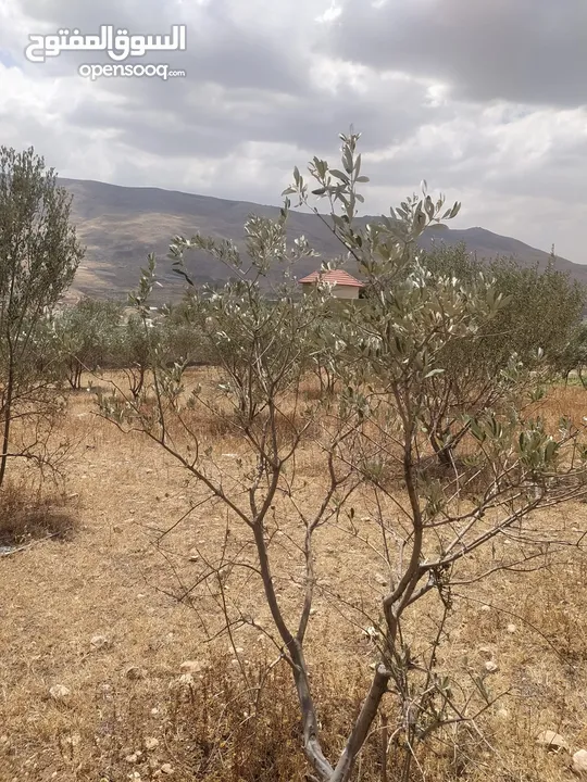 بيع قطعة ارض