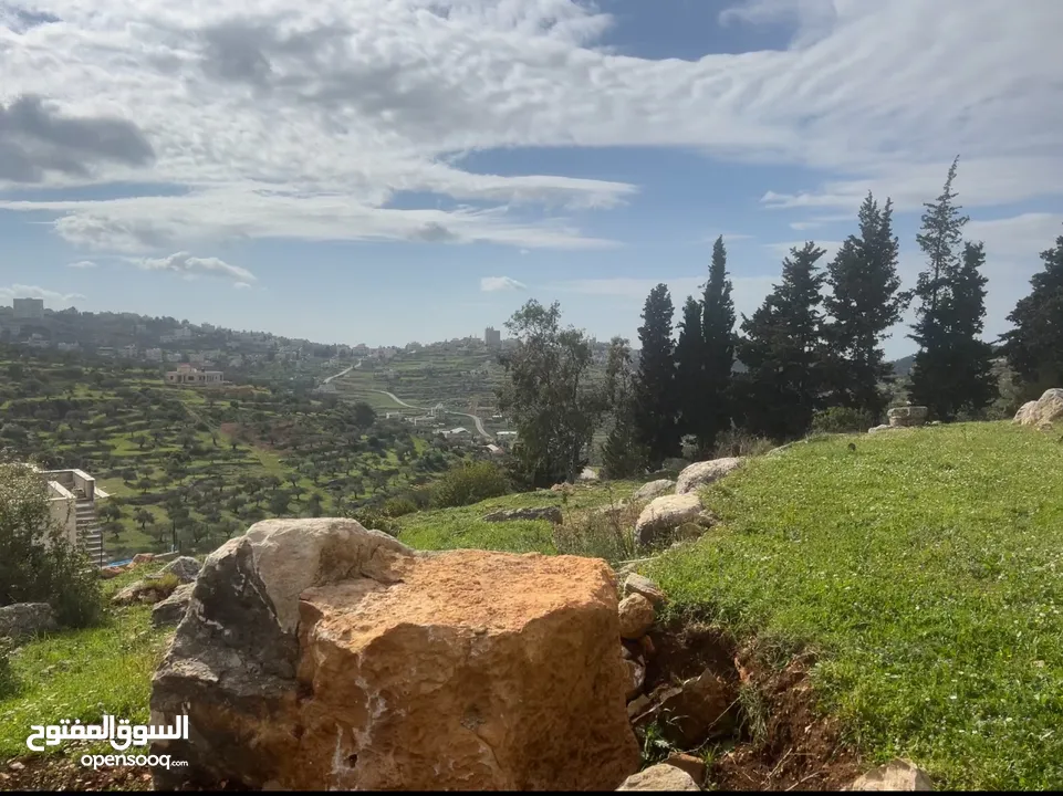 ارض من  بورهام  مساحات من 600 متر