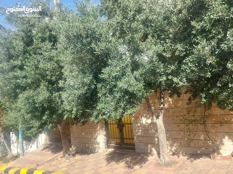 بيت مستقل طابقين أول طلوع عدن
