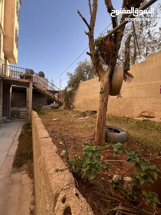 عمارة ثلاث طوابق + شقة ارضية عظم +تسوية  + كراج سيارات  للبيع
