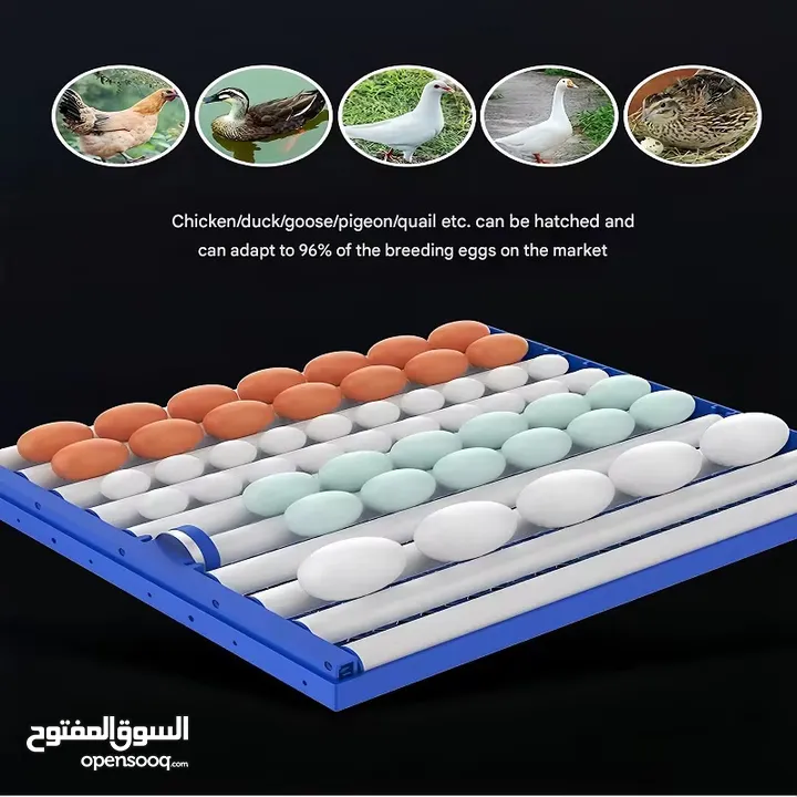 فقاسات اوسكار الايطاليه