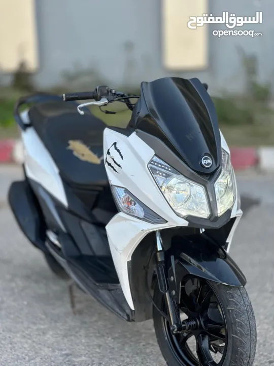 جيت 14 قنوني ضفة ملف شركة