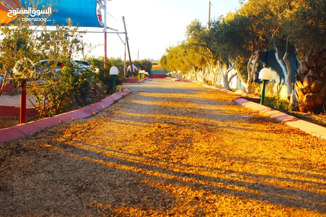 منتجع للبيع (مزرعه)