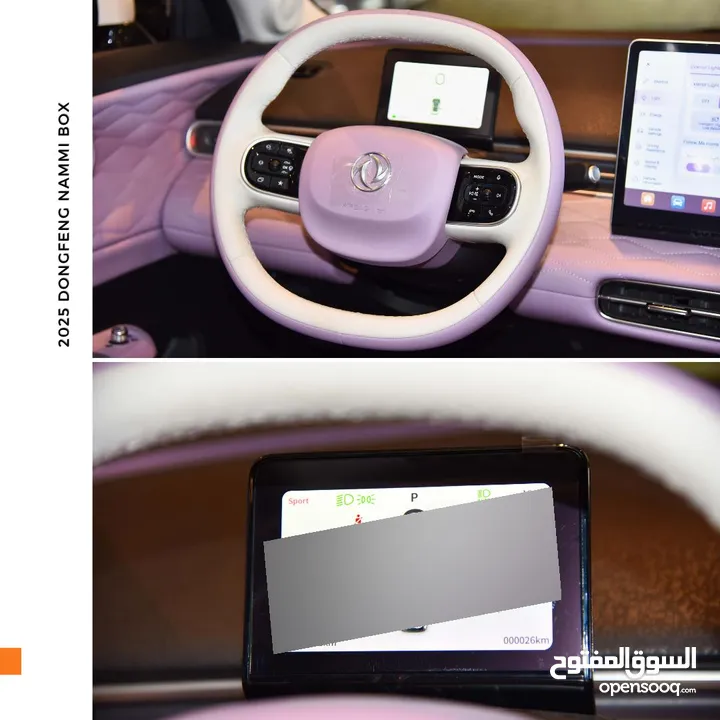 دونغ فينغ نامي بوكس كهربائية بالكامل 2025 Dongfeng Nammi Box Ev