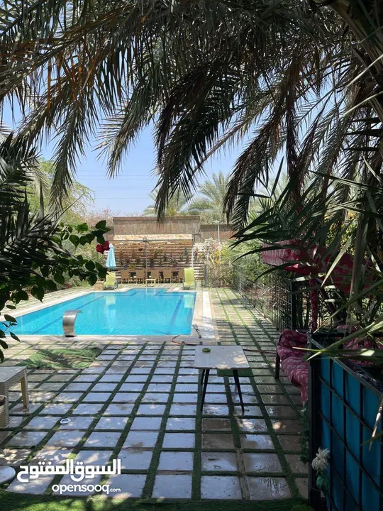 مزارع وشاليهات للايجار اليومي
