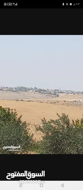 ارض زراعية للبيع  .. قطعه زراعية .   محافظة مادبا . ذيبان . مليح . حوض العلاقي . مساحة اربع دنمات