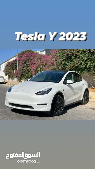 Tesla Y 2023 Longe Range Dual motor
