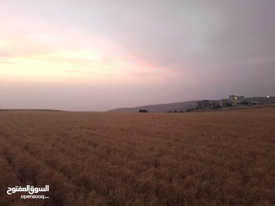 مادبا ماعين المشرفة قطعة ارض زراعية مميزة واصل الخدمات ذات اطلالة على البحر الميت واصل الخدمات