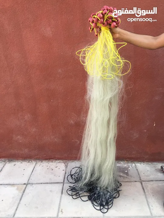 شبكة وسنارة