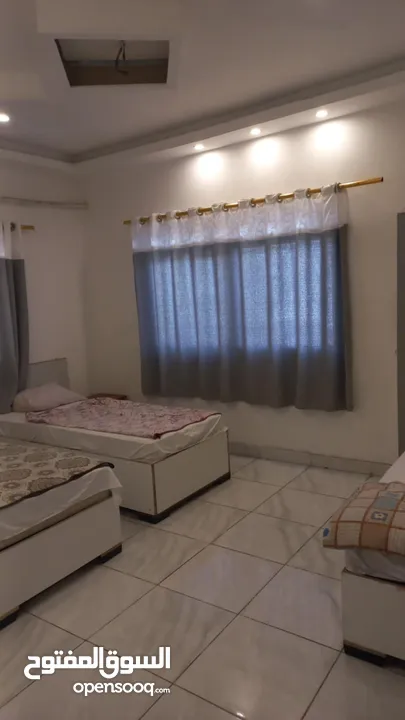 ستديو / شقة للايجار اليومي فقط