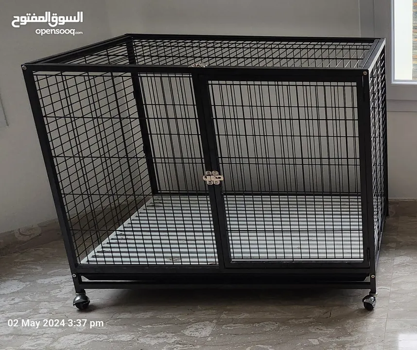 Dog crate available