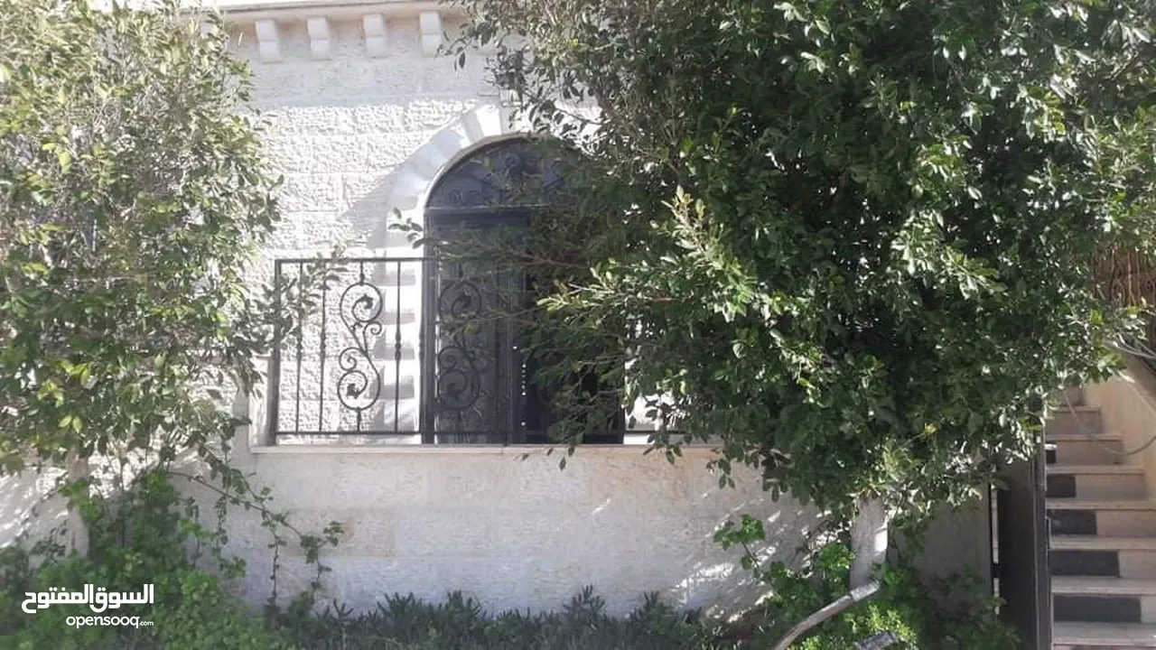 سليم علي سليم