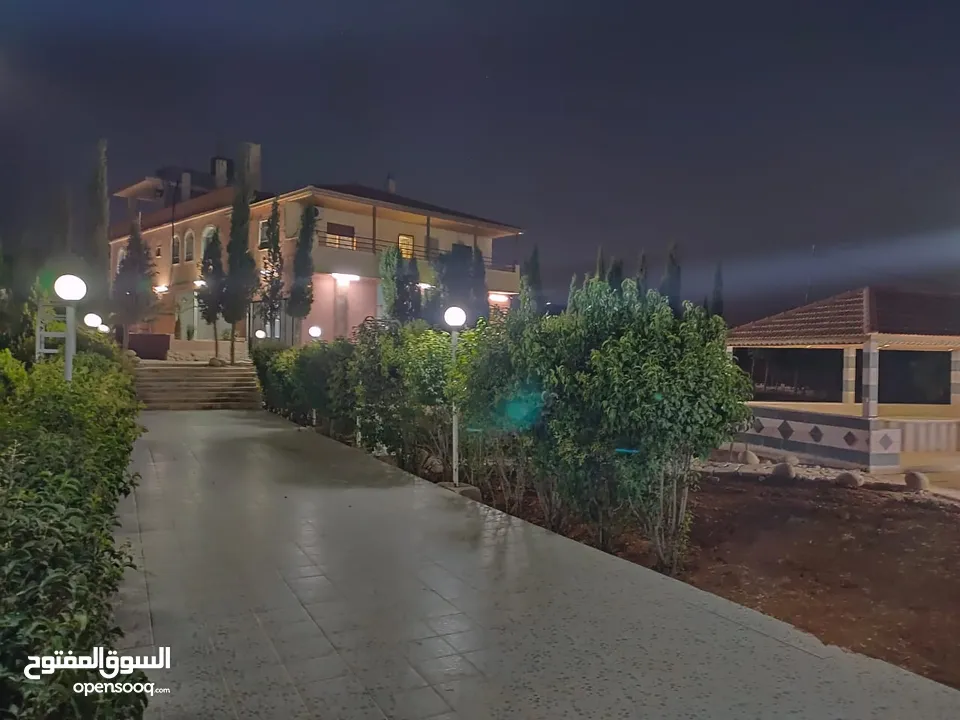 مزرعة مميزة ناعور المشقر