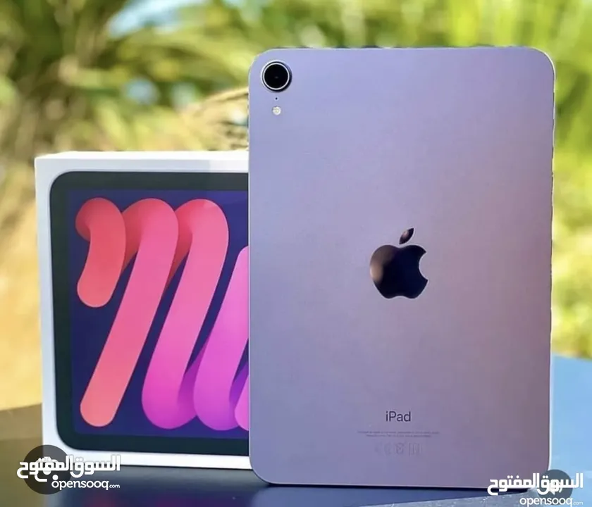 iPad mini (6th Generation) Wi-Fi + Cellular
