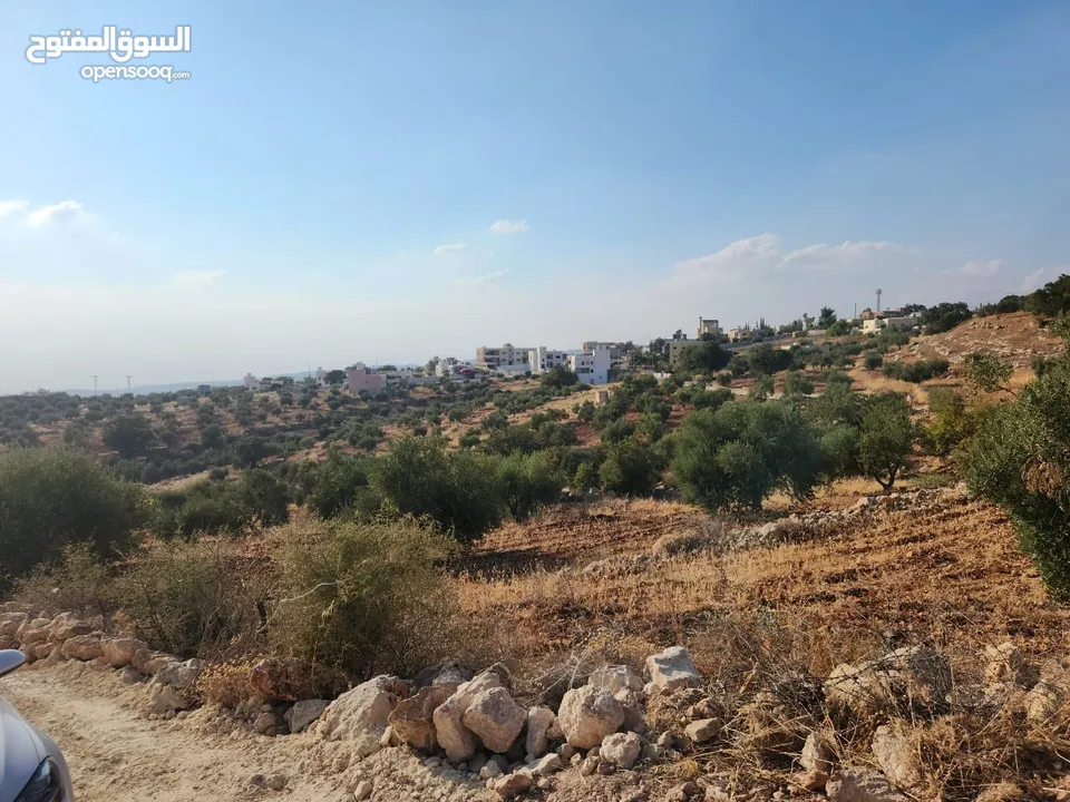 ارض مميزة في زبدا الكاشف